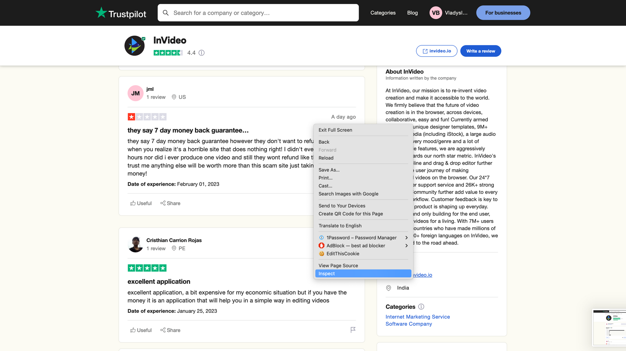 Scrape Trustpilot reviews using Go